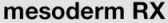 Mesodermrx.com logo